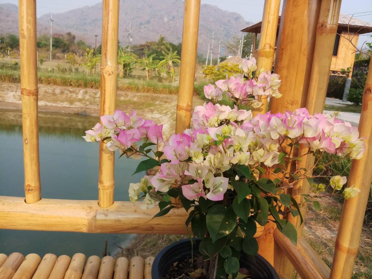 คูณ-เนื่อง ฟาร์ม สเตย์ หัวหิน Koon & Nueang Farm Stay Hua Hin บ่อฝ้าย ภายนอก รูปภาพ